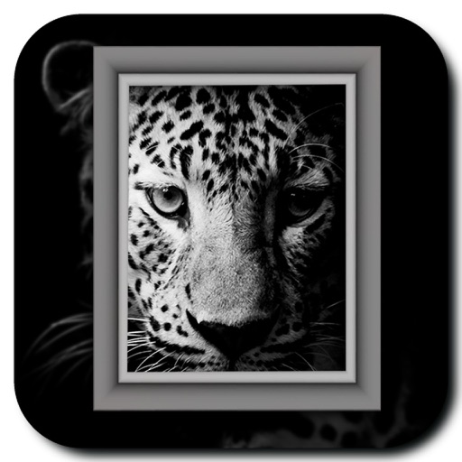 Wild Photo Frames icon