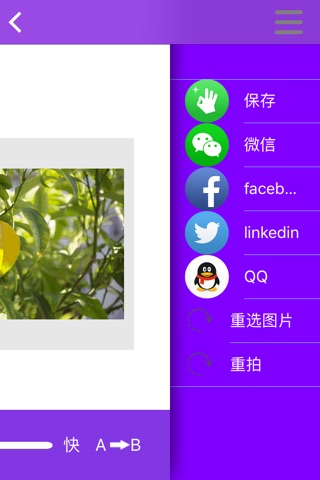 L王座美图伴侣 screenshot 4