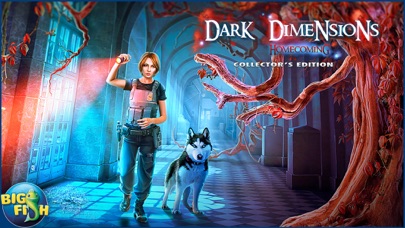Dark Dimensions: Homecoming - A Hidden Object Mystery (Full) Screenshot 5