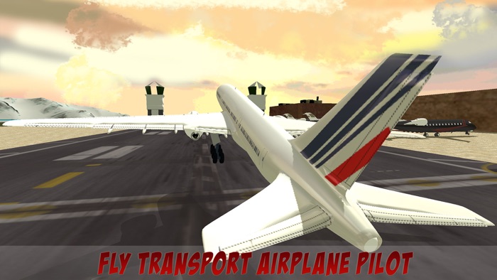 Fly Transporter Airplane Pilot Passenger Airline Simulation Free