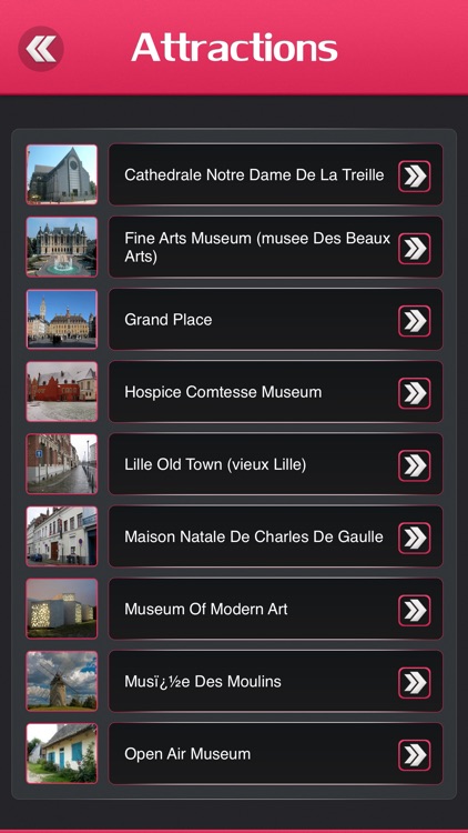 Lille City Travel Guide