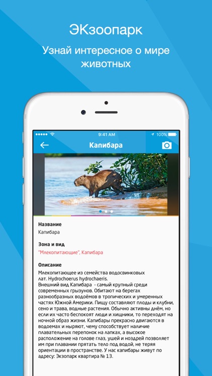 РИО Санкт-Петербург