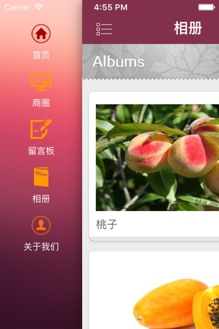 热带水果 screenshot 3