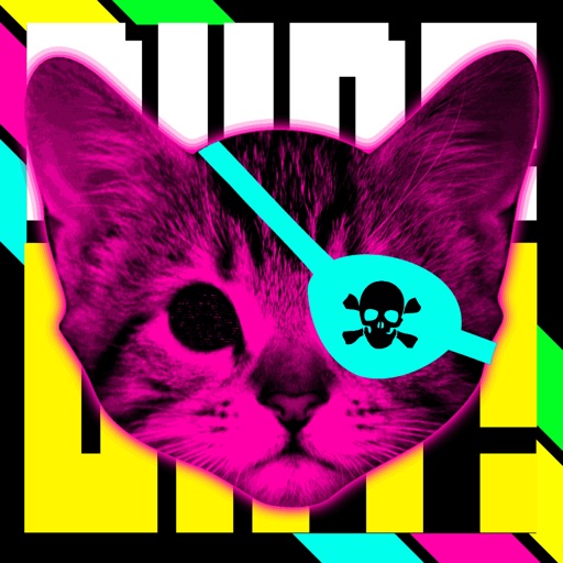 DUDE CAT! iOS App