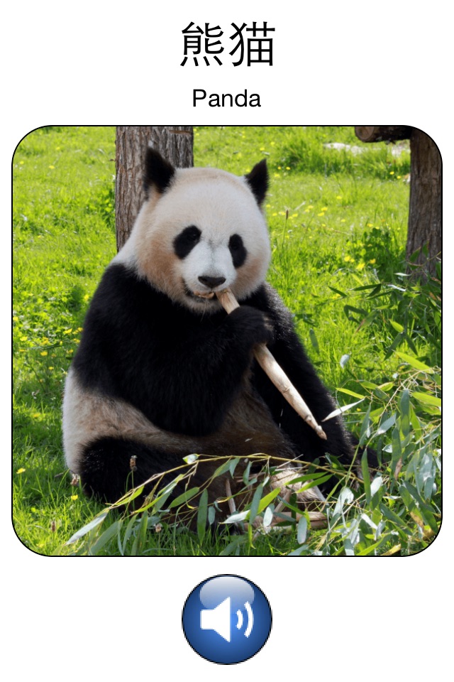 Kids Read Chinese - Mandarin Chinese Flashcards for Kids screenshot 4