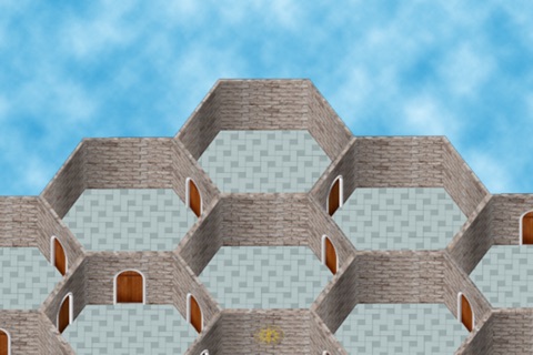 Honeycomb Maze screenshot 2