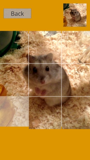 Hamster Slider Puzzle(圖2)-速報App