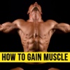 How to Gain Muscle From Basics - Learn the Tricks