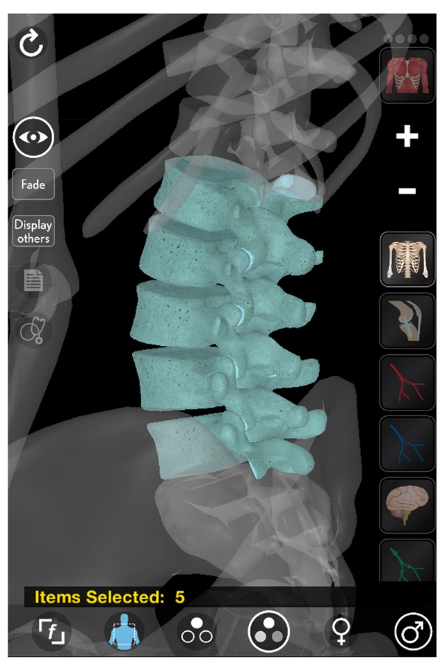 3D Organon Anatomy - Skeleton, Bones, and Ligaments screenshot 3