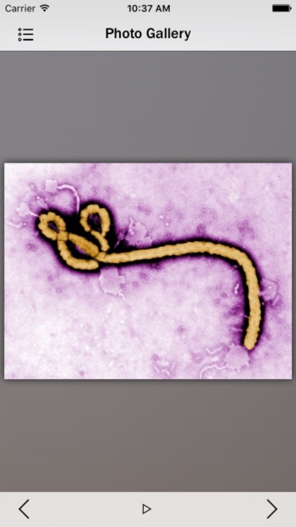 Ebola Disease Info+ screenshot-3