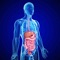 This is the all-inclusive App to Self Learn Gastroenterology