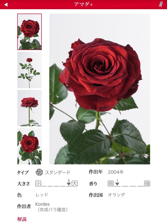 切り花 バラ図鑑 1000 をapp Storeで