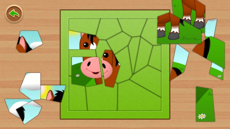 Jigsaw Puzzle Animal Fun