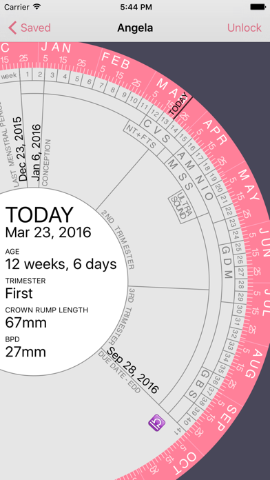 Pregnancy Wheel Screenshot 1