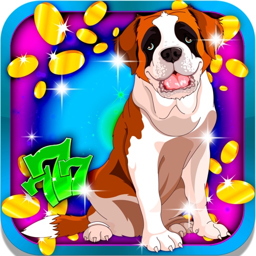 Beagle Friends Slots: Guess more than three dog species and be the lucky champion iOS App