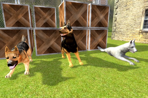 Police Dog Chase Prisoner Escape -  Real Hard Time Dog Fighting Against City Crime of Robbers & Criminals screenshot 2