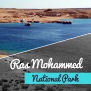 Ras Mohammed