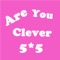 Are You Clever - 5X5 N=2^N Pro