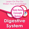 Digestive System1700Flashcards