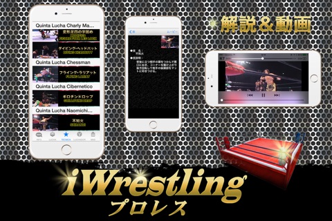 iWrestling ver NOAH×AAA/TripleSEM screenshot 3