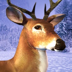 Activities of Deer Hunting Ice Age