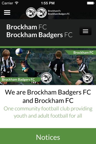 Brockham FC screenshot 3