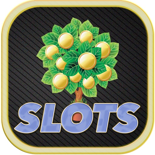 Big Deal or No Jackpot Slots - Amazing Vegas Casino icon