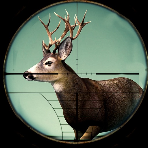 2016 Black Deer Wild Animals Hunt - Extreme 3D Safari Hunt Adventure icon