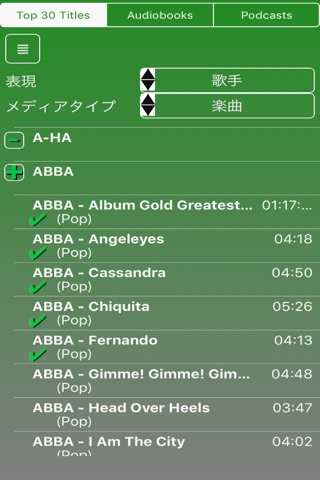 Car Audio Play screenshot 4