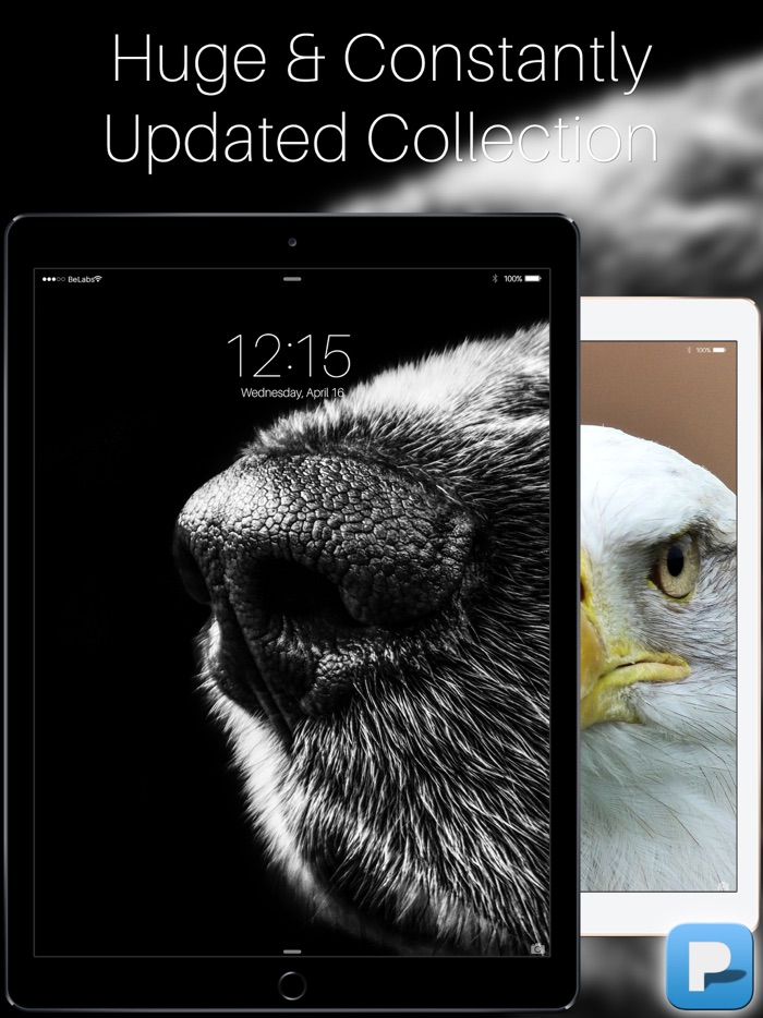 HQ Wallpapers for iPad Pro