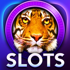 Activities of SLOTS - Tiger House Casino! FREE Vegas Slot Machine Games of the Grand Jackpot Palace!