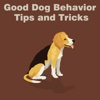 All about Good Dog Behavior Tips and Tricks