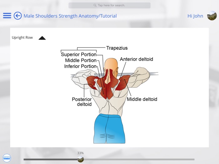 Human Body Anatomy  Strength Anatomy by GoLearningBus