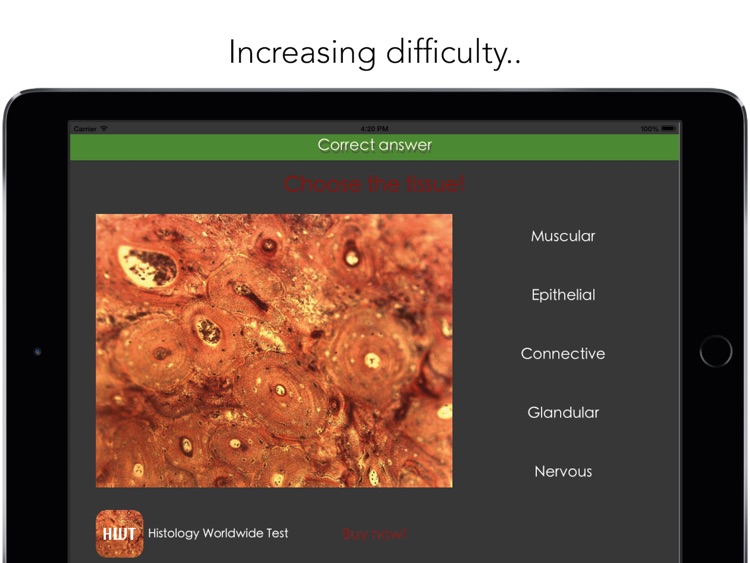 Histology Worldwide Test Lite for iPad screenshot-3