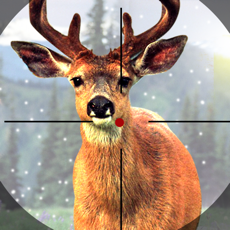 Activities of Big Game Wild Deer Hunting Challenge 3D Late Season 2016