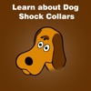 All about to Learn about Dog Shock Collars