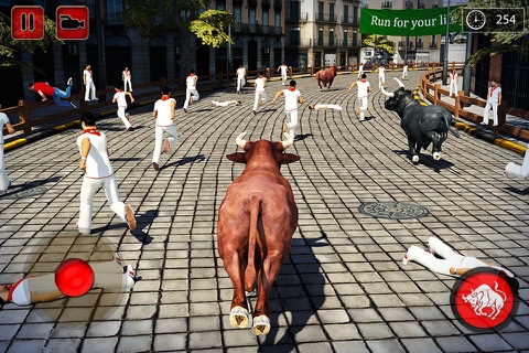 Angry Bull 2016 - náhled