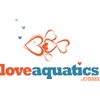 Love Aquatics Koi Carp