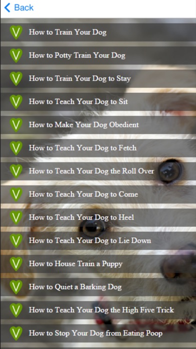 How to cancel & delete Dog Training - Learn How to House Train a Dog from iphone & ipad 4