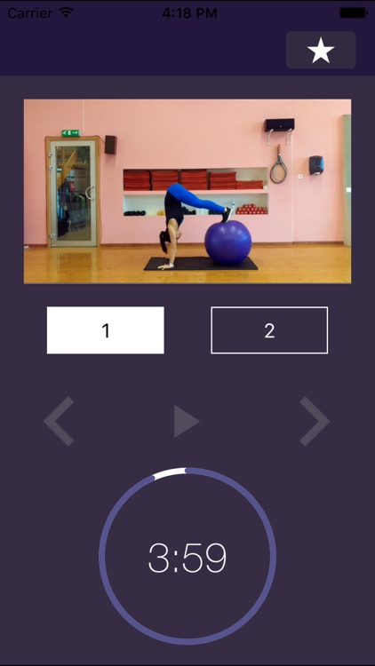 Stability Ball Exercises – Swiss Exercise Program for Strength and Physically Strong Gym Body screenshot-3