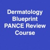 Dermatology Blueprint PANCE Review Course