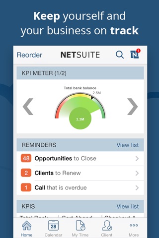 NetSuite screenshot 2