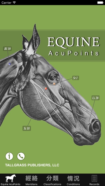 Equine AcuPoints