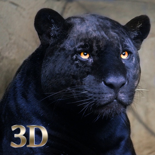 Hungry Black Panther Revenge 3D iOS App