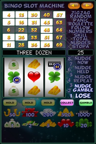 Bingo Slot Machine by Toftwood screenshot 4