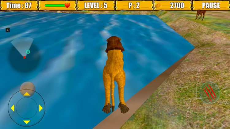 Wild Lion Simulator Game screenshot-3