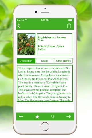 Natural Ayurvedic Home Remedies - Natural & Ayurvedic Herb screenshot 2