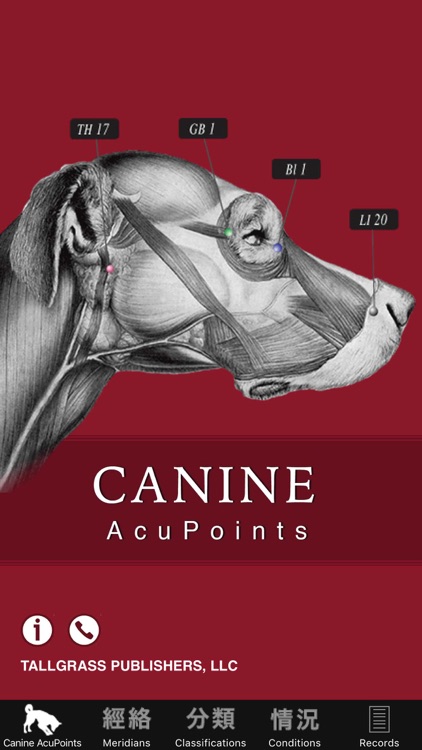 Canine Acupoints