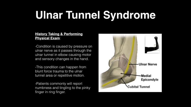 Musculoskeletal Blueprint PANCE PANRE Review Course