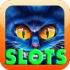 Blue Cat Slots FREE